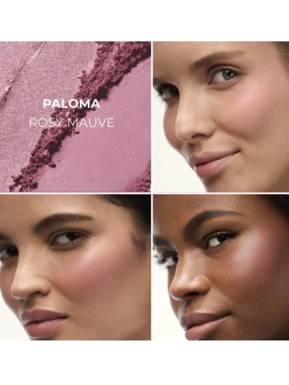 NEW✅LM Paloma